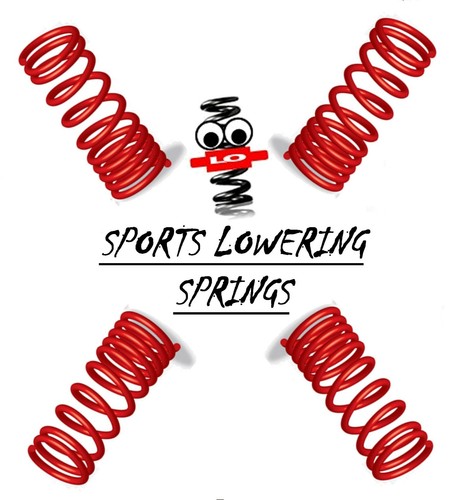 Lowering springs for vw - springs,