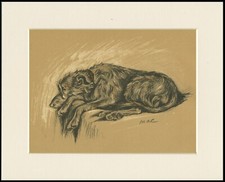 DEERHOUND LOVELY 1937 DOG ART PRINT by MAC LUCY DAWSON READY MOUNTED TO FRAME