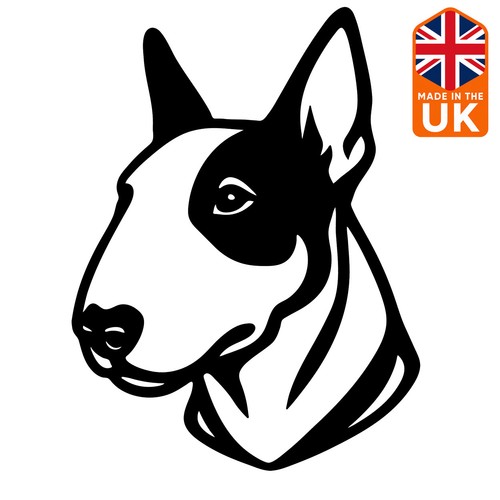 Bull terrier dog head - bull,