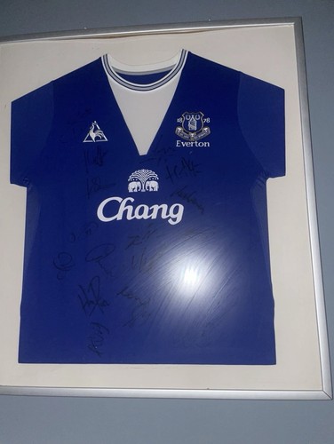 Everton 2009 2010 signed - signed, squad