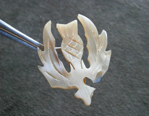 Scottish thistle vintage - thistle,