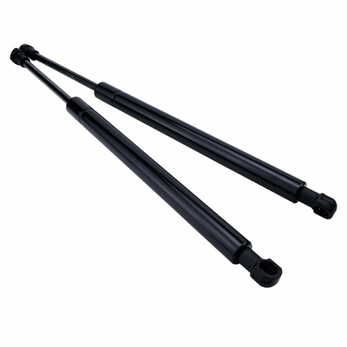 Tailgate boot gas struts - tailgate,