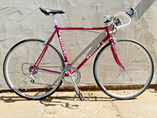 Daccordi furioso mint - furioso,