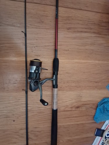 Daiwa ninja 10ft match - daiwa,