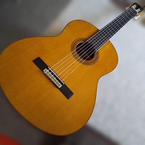 Yamaha gc12c classical guitar - classical,