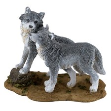 Two Small Gray Wolves Wolf