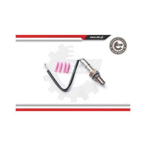 09skv909 esen skv - skv, lambda