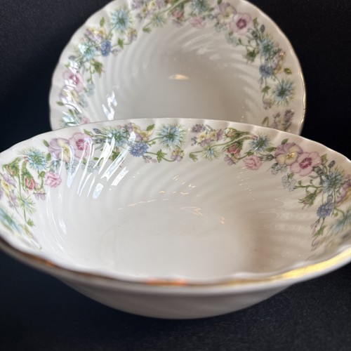 Two aynsley wild tudor - wild, soup