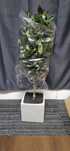 Kelly hoppen topiary - k,