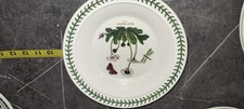 Portmerion Soup Bowl  Daisy