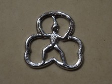 Brownie Guides Pixie Promise