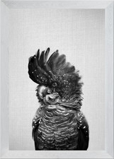 Black Cockatoo BW Framed Wall