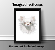 CHIHUAHUA DOG   A4 PRINT