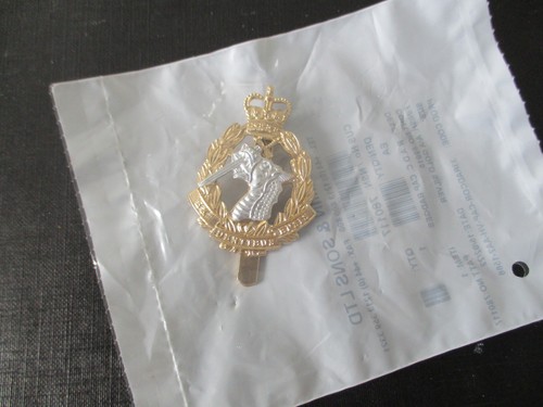 Radc mod issue cap - issue, badge