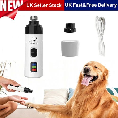Pet cat dog - pet,