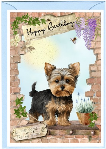 Yorkshire terrier yorkie a6 - terrier,