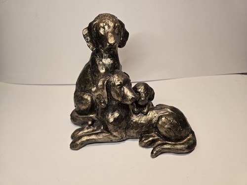 New golden retriever labrador - golden, retriever/labrador