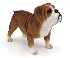Leonardo Collection Bulldog