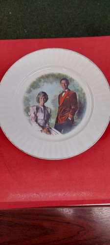 Fine bone china johnsons - fine,