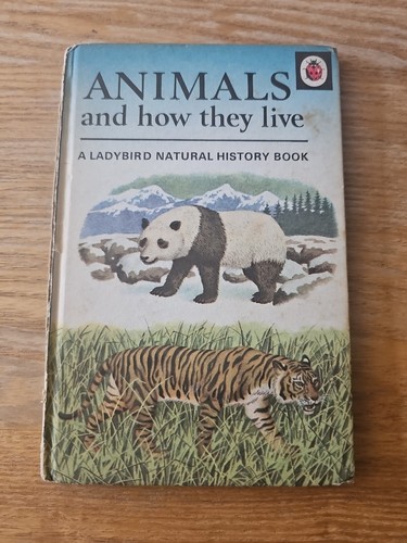 Ladybird animals and how they - how,
