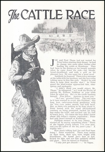 The cattle race story - the, a