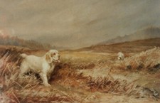 Clumber Spaniels, Limited