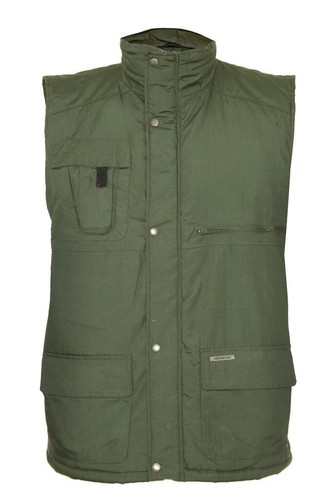 Champion peak unisex multi - champion,