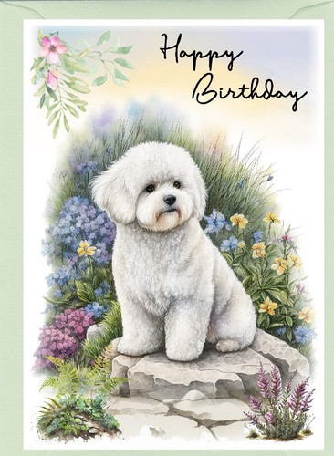 Bichon frise dog birthday card - frise,