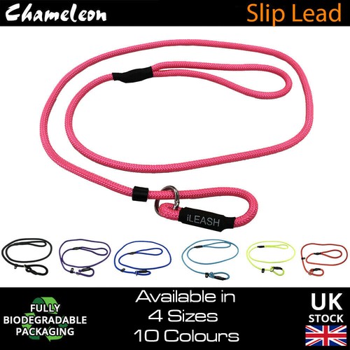 Strong slip rope pet - pet, puppy