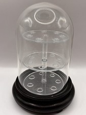 Glass Dome Display Cloche