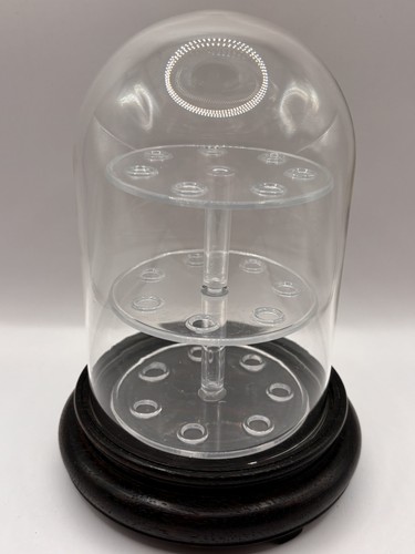 Glass dome display cloche - dome,