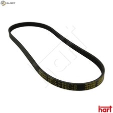 VRIBBED BELT 368 857 FOR