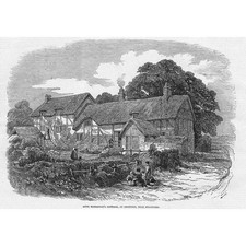 SHOTTERY Anne Hathaway's