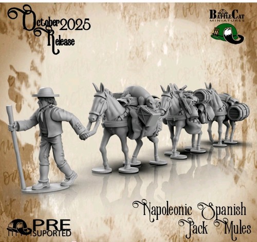 Napoleonic spanish pack - 1:72,
