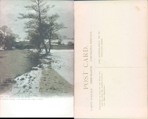 Snowy riverbank scene