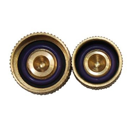 Leak proof valve cap for - leak,