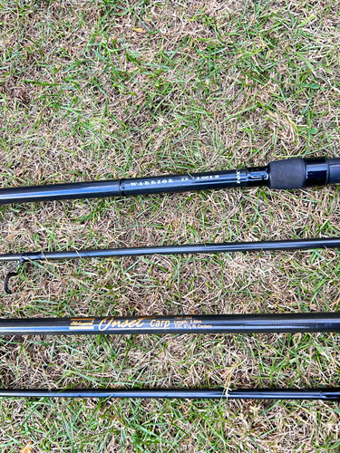 Fox warrior 3lb 12ft - tc, &