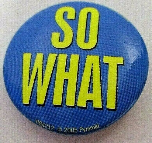 Badge pin rude funny humour - rude,