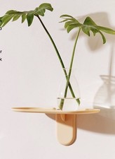 Good Things Seed Shelf By K YEH - Designer Small wall shelf in Yellow