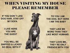 Funny Greyhound Dog metal wall