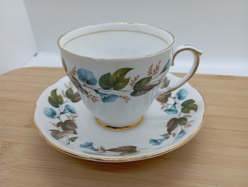 Duchess bone china tea cup - bone,