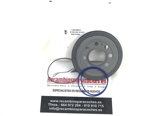 Retainer spring rear the - retainer,