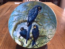 MACAW PLATE - HYACINTH MACAWS - FRAGILE PARADISE - WEDGWOOD - PARROT