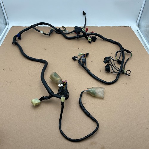 Honda cbr900 wiring harness - cbr900,