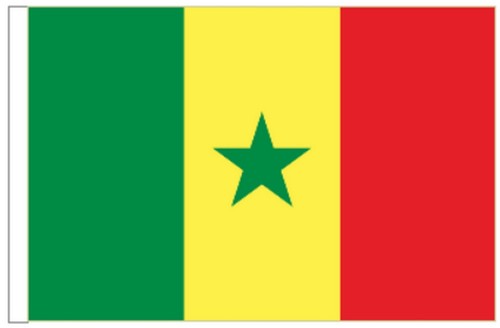 Senegal sleeved courtesy - sleeved, flag