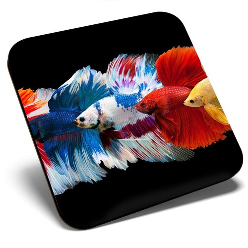 Square single coaster - coaster,