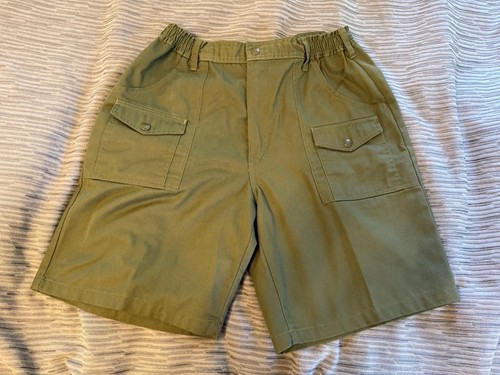 Official boy scout - boy,