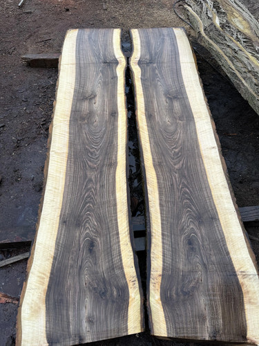 Rippled english walnut - rippled,