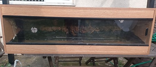 4ft vivarium with - vivarium,