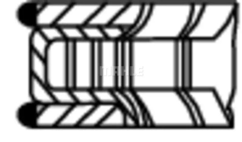 Piston ring set 081 00101 - set,